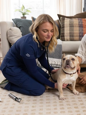 Dr. Kingsley performing a wellness check on a dog during an in-home visit.