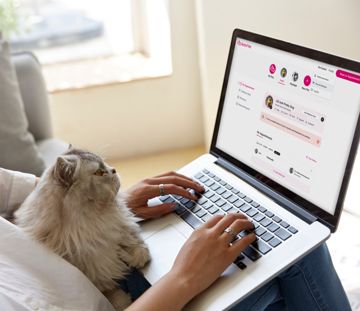 A pet parent booking a mobile veterinary appointment with BetterVet.