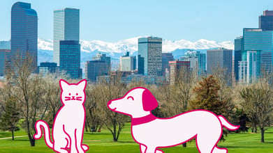 Illustration of a happy and healthy cat and dog with a Denver skyline background.