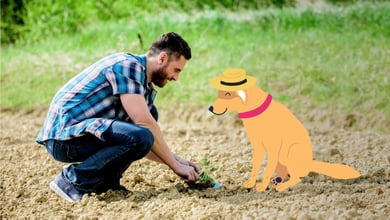 Man planting something with dog illustration 