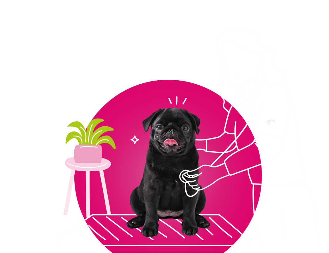 An illustration of a mobile veterinarian examining a pug at home.