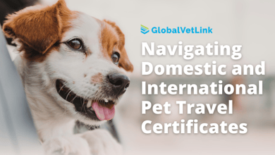 Understanding the differences between domestic and international health certificates for pet travel.