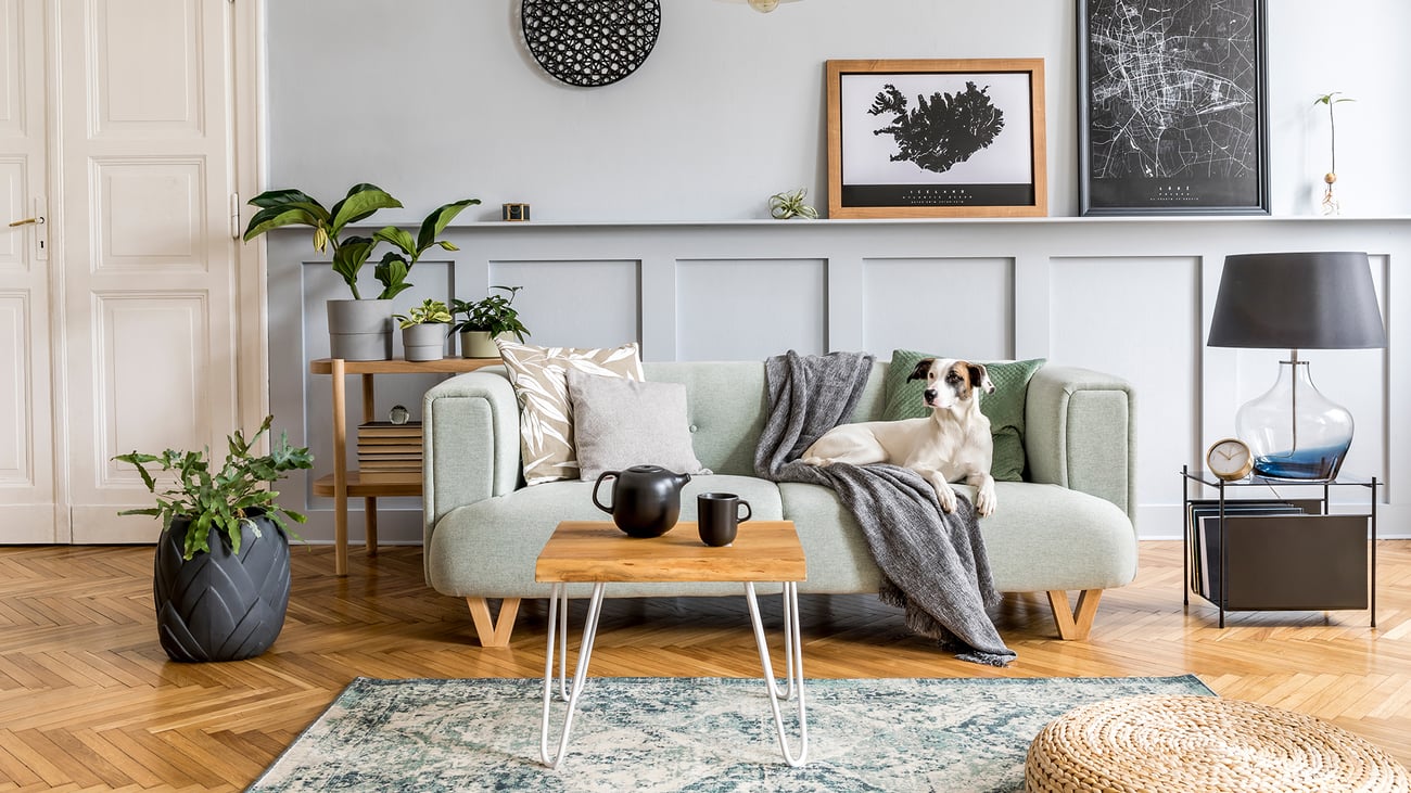 The Top Pet-Friendly Airbnbs in Detroit, MI
