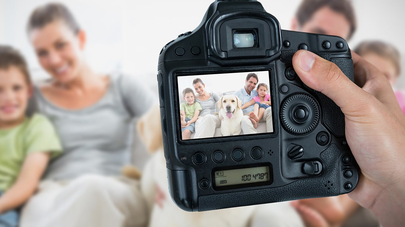 The Best Pet Photographers in Queens, NY