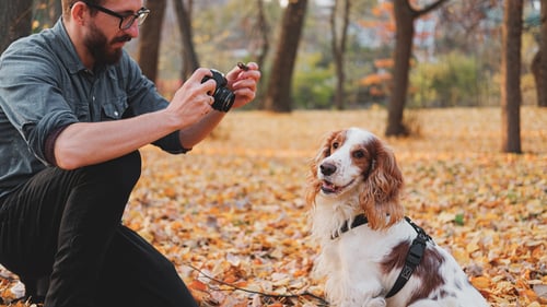 The Best Pet Photographers in Portland, OR