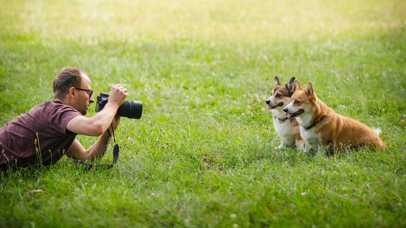 The Best Pet Photographers in Santa Barbara, CA