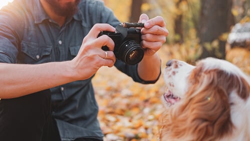 The Best Pet Photographers in South Florida