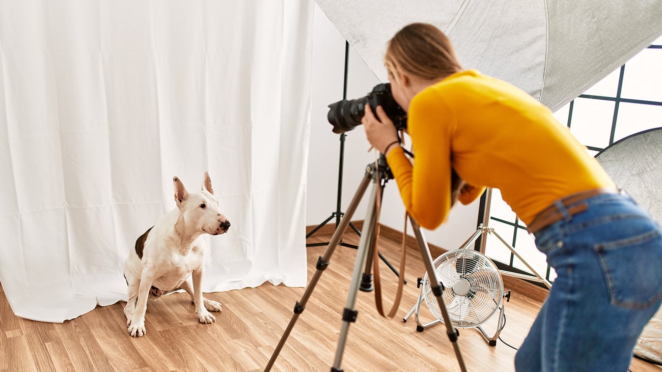 The Best Pet Photographers in Thousand Oaks, CA