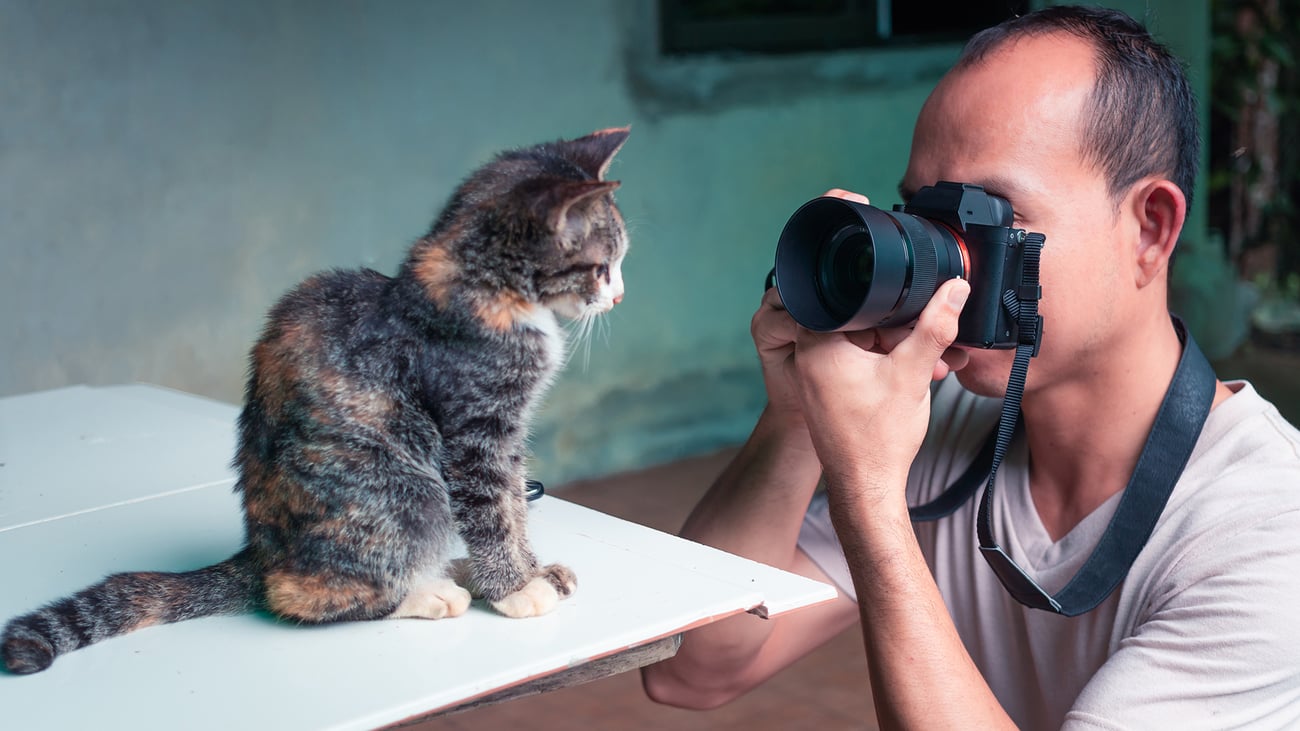 The Best Pet Photographers in Vancouver, WA