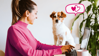 A pet parent chatting with a virtual vet online, establishing a VCPR