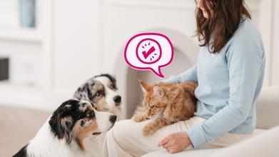 What Common Pet Diseases do Vaccinations Prevent?