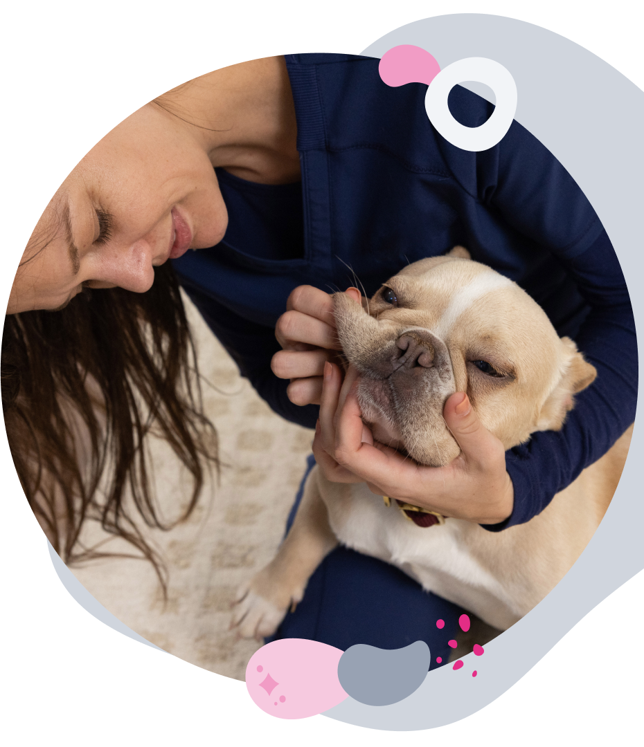 Mobile Pet Dental Cleaning & Care