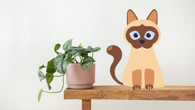 Siamese cat next to a plant 