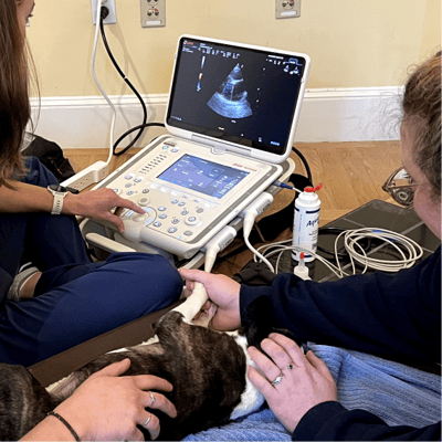 Conducting the Ultrasound