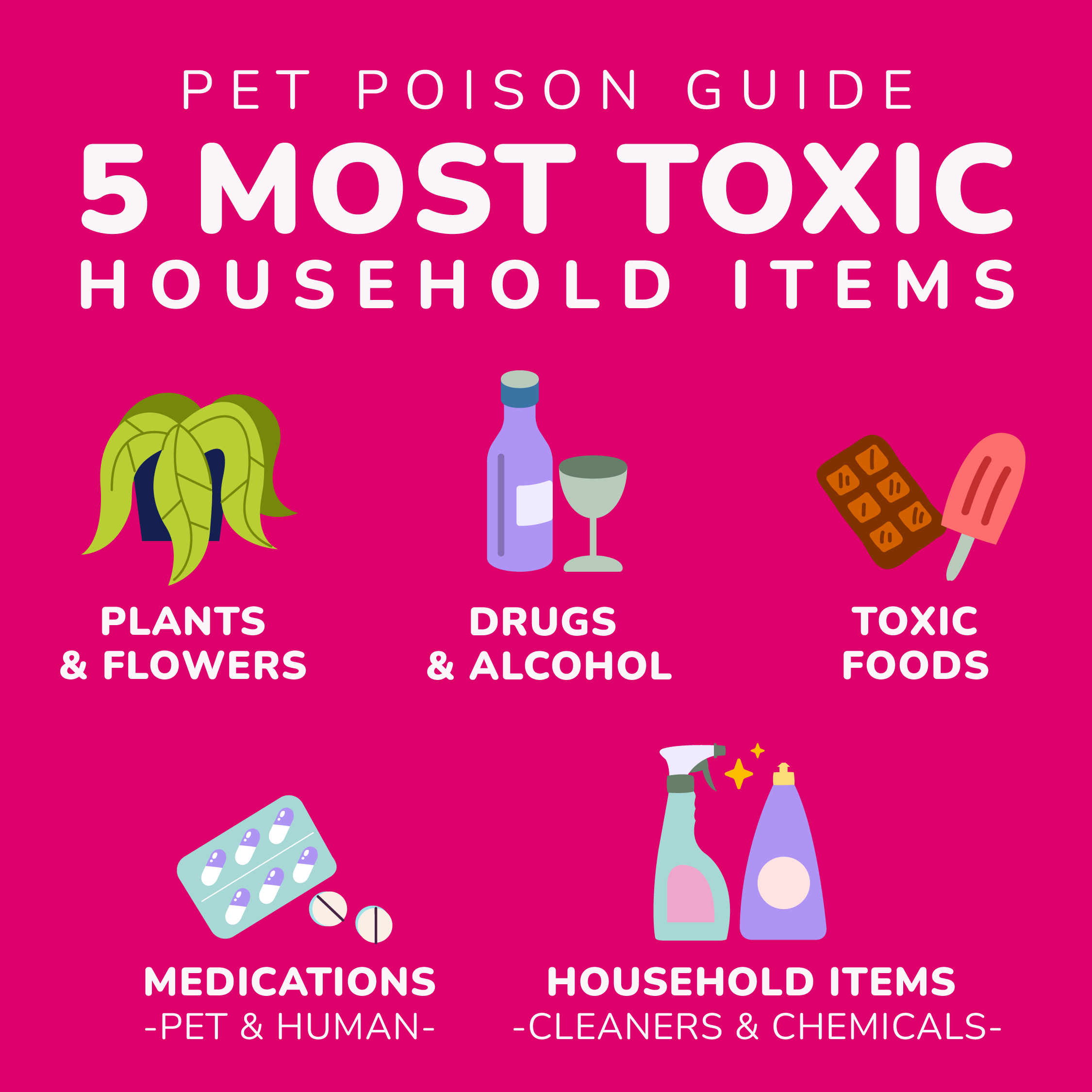 Illustration of the 5 most toxic household items for pets.