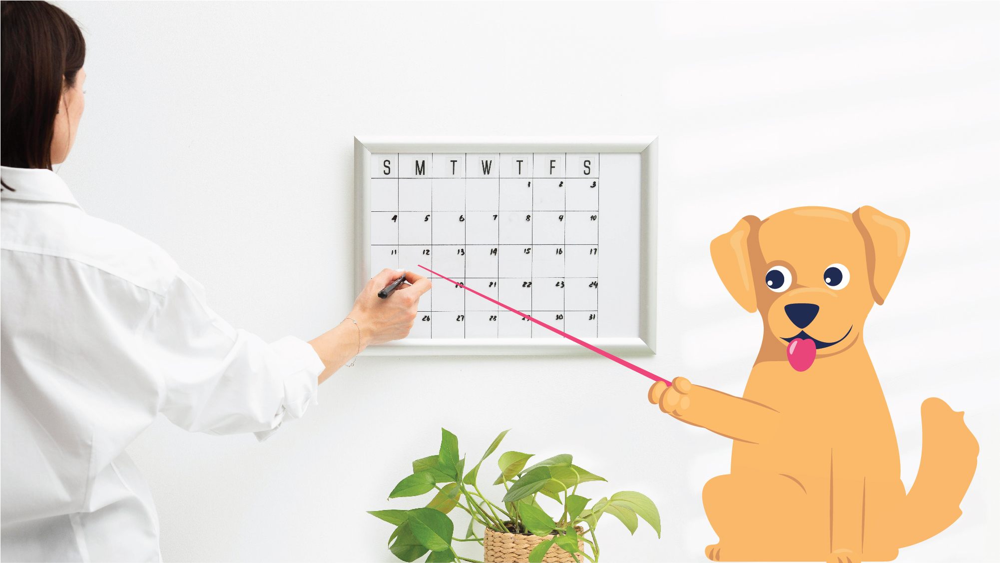 Your Guide to 5-in-1 Vaccine Schedule for Puppies | BetterVet