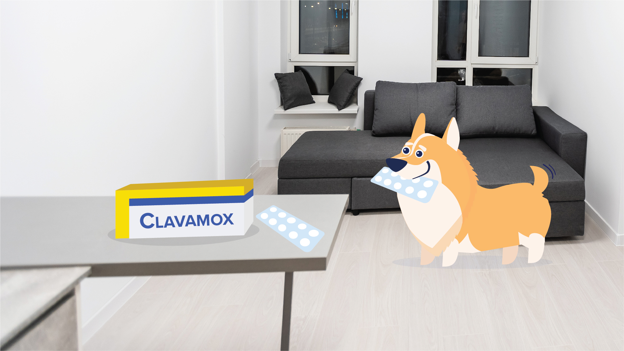 Clavamox for Dogs | BetterVet