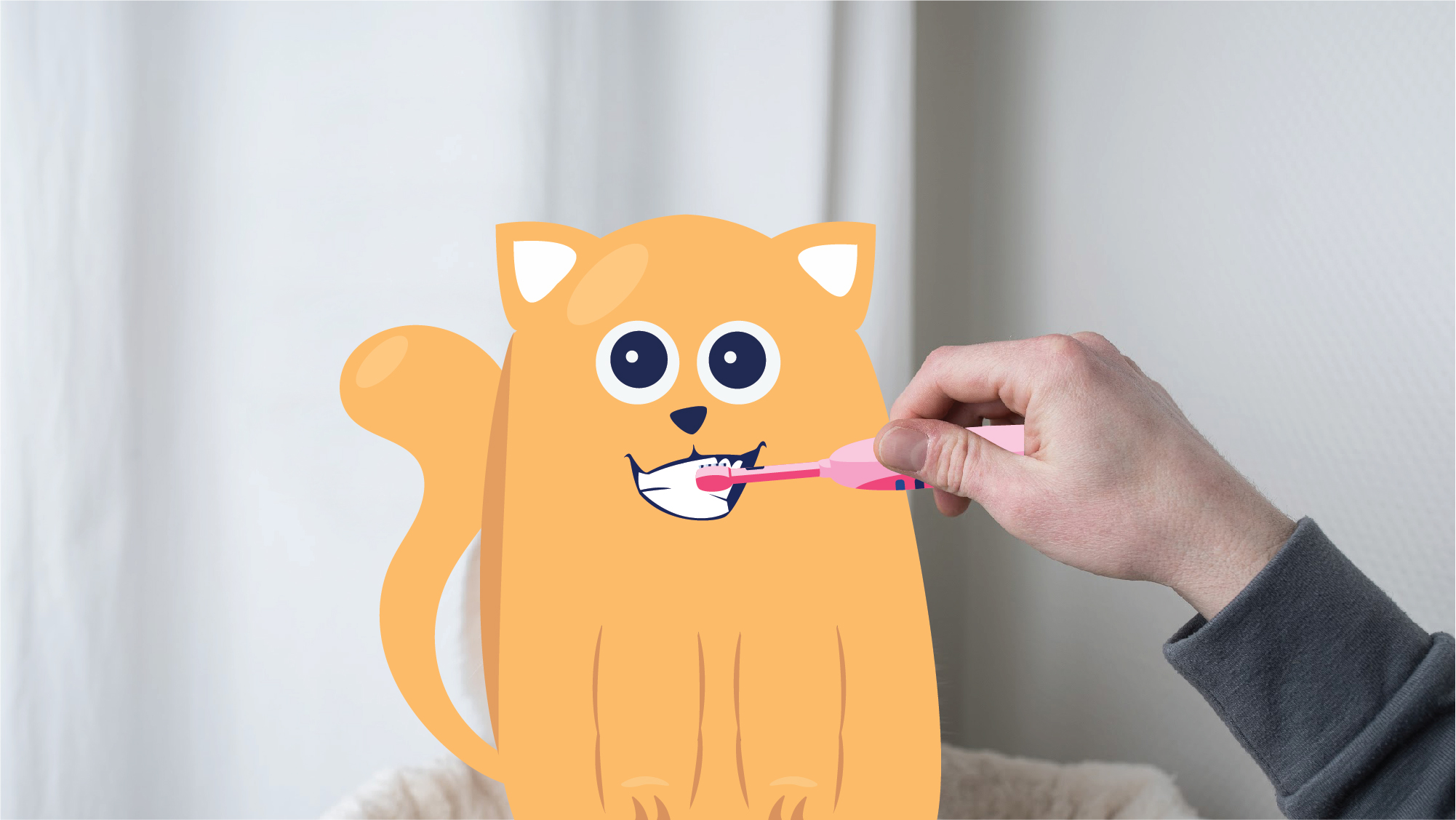Cat Dental Care: How to Brush Your Cat's Teeth | BetterVet