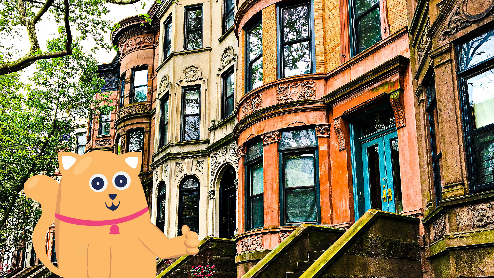 8 Pet-Friendly Airbnbs In Brooklyn, NY