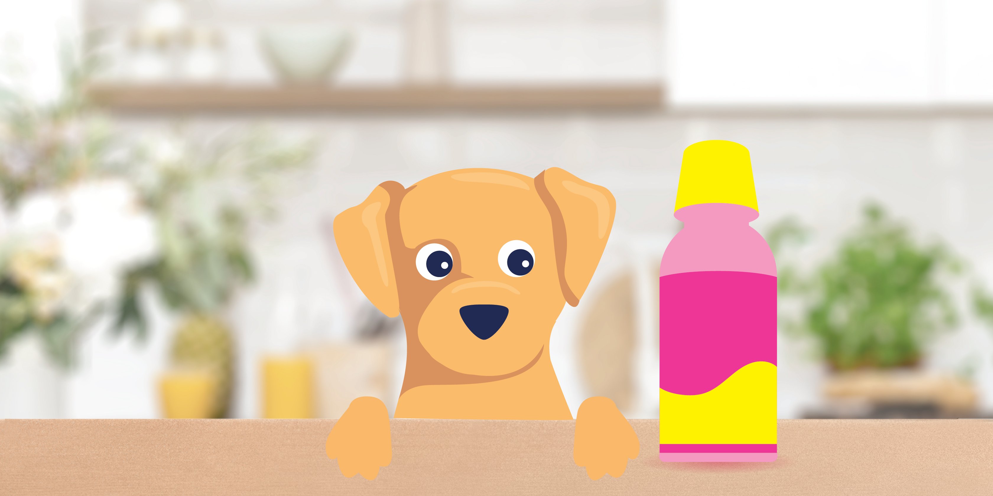 Pepto Bismol For Dogs: Everything You Need To Know | Bettervet