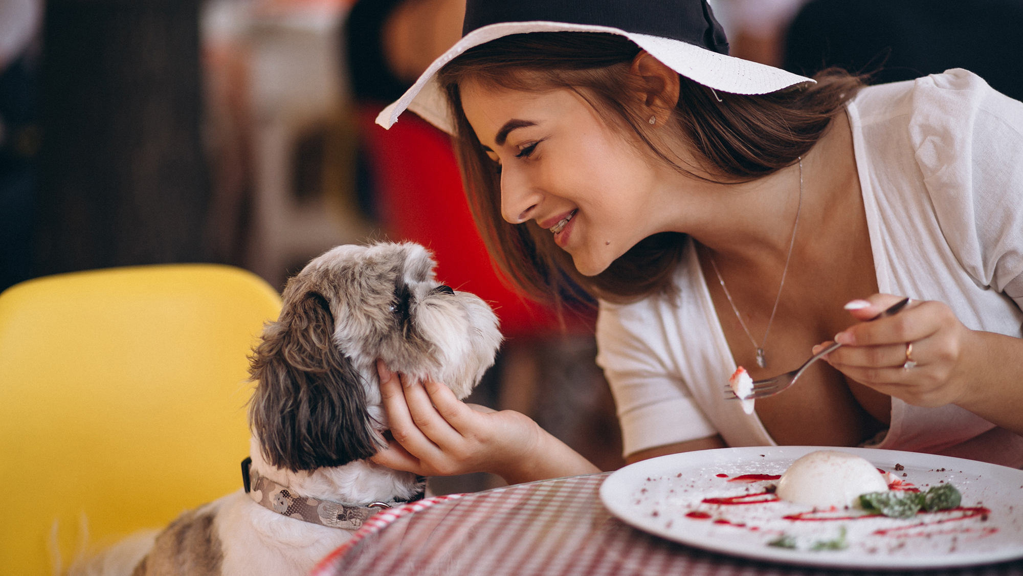 are dogs allowed in restaurants in boston