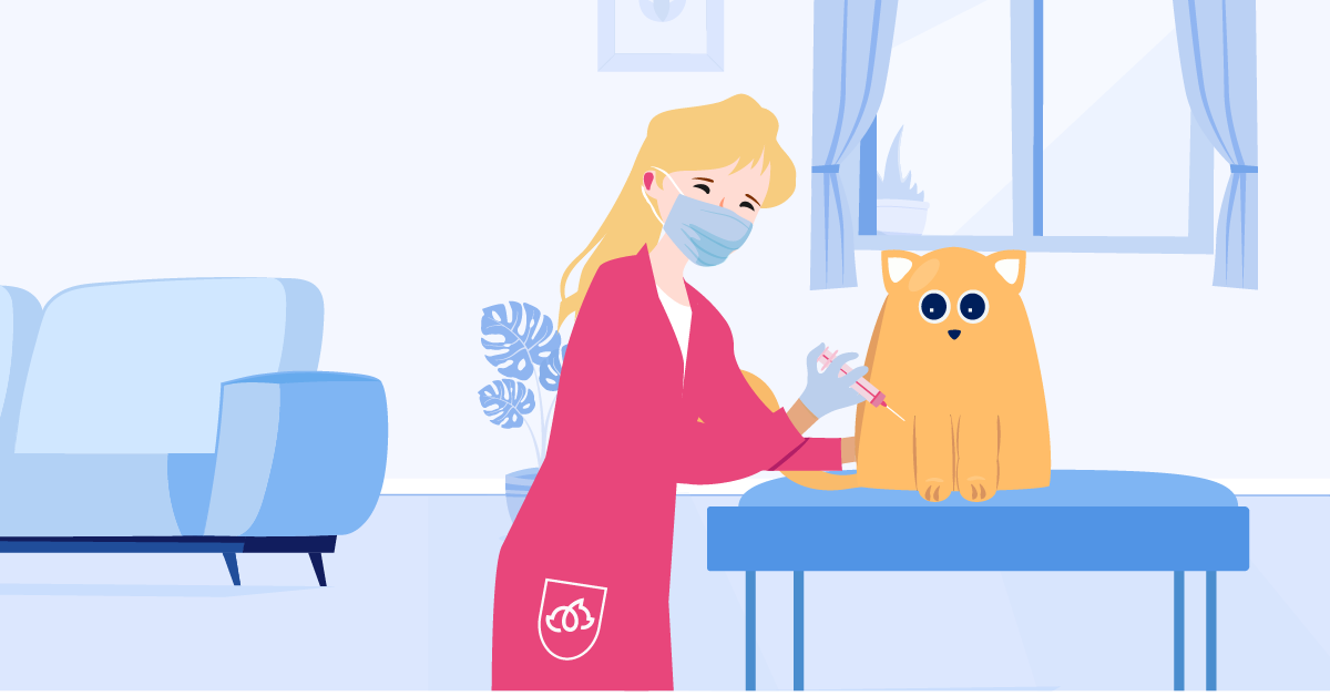 Cat Vaccines | BetterVet 