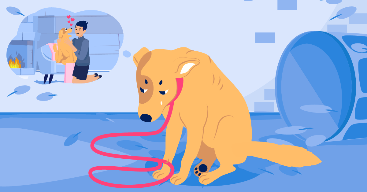 The Major Benefits of Microchipping Your Pet