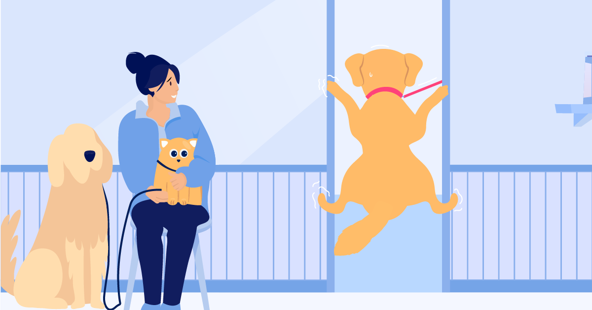 3 Ways Your Pet Benefits From In-Home Veterinary Care Services | BetterVet