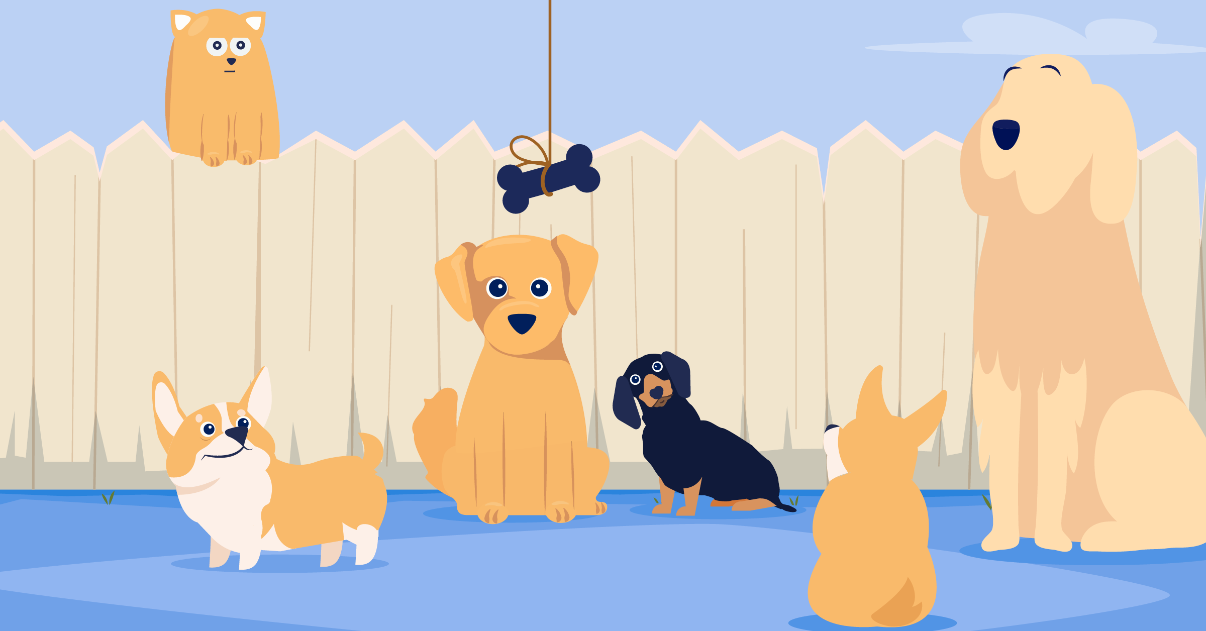 Training Your Pet Through Positive Reinforcement | BetterVet