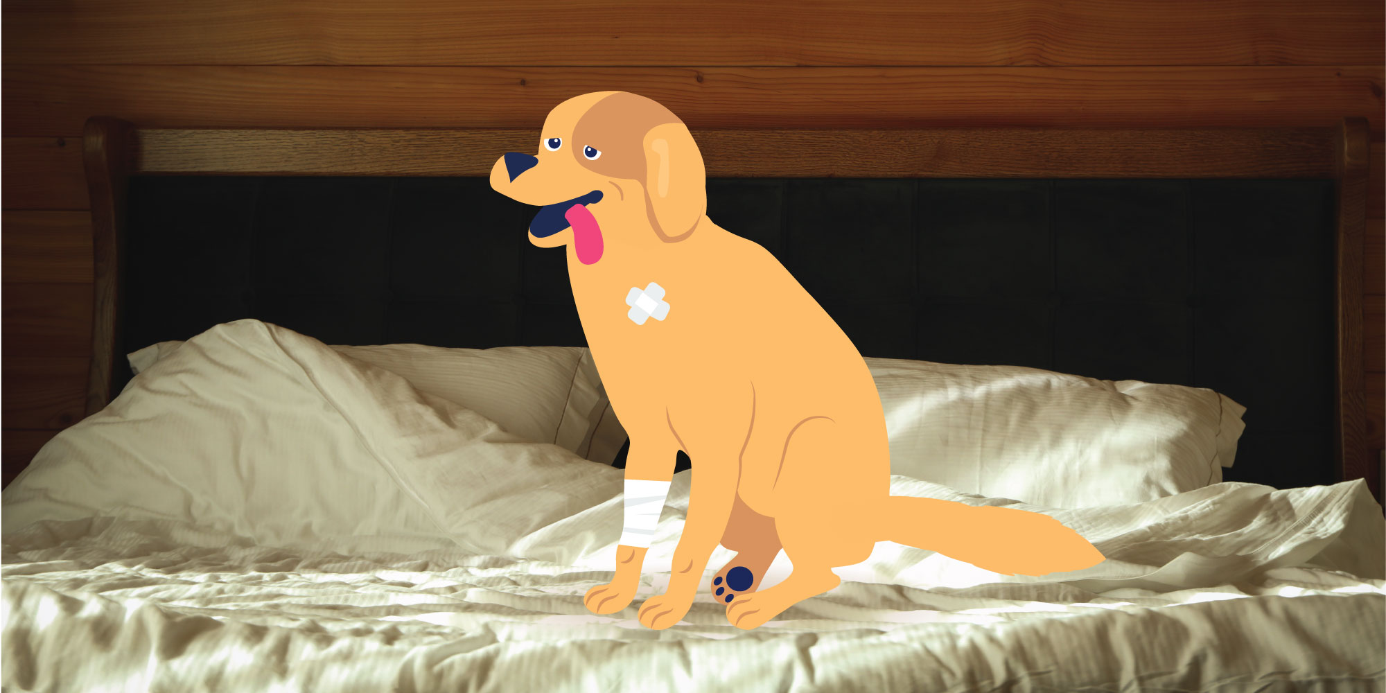 Veterinarian Explains Reasons for Heavy Panting in Dogs | BetterVet