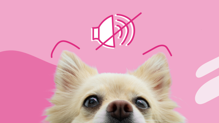 https://bettervet.com/hubfs/a-deaf-dog-with-an-illustration.jpg#keepProtocol