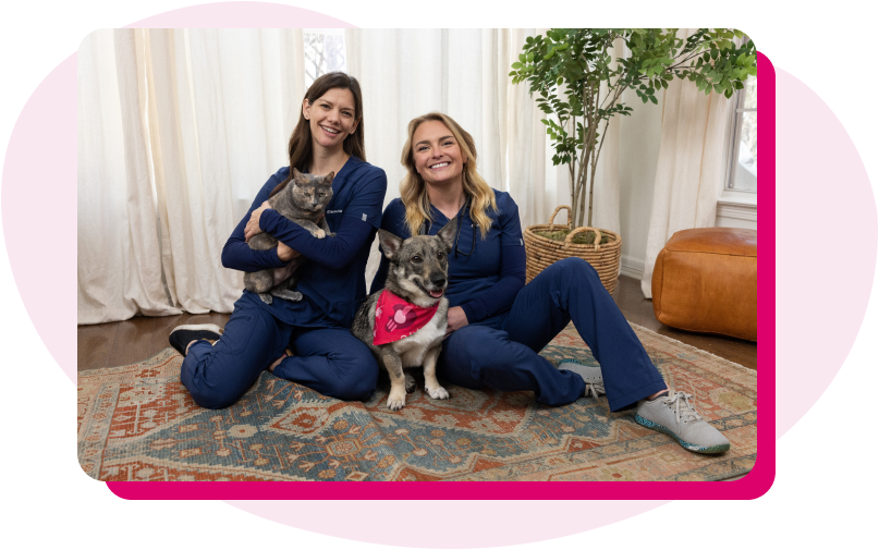 BetterVet care team holding pets during in-home appointment.