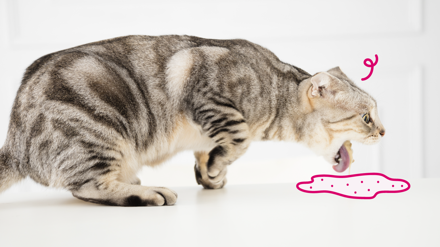 Vomiting in Cats: What Causes It and How to Help | BetterVet