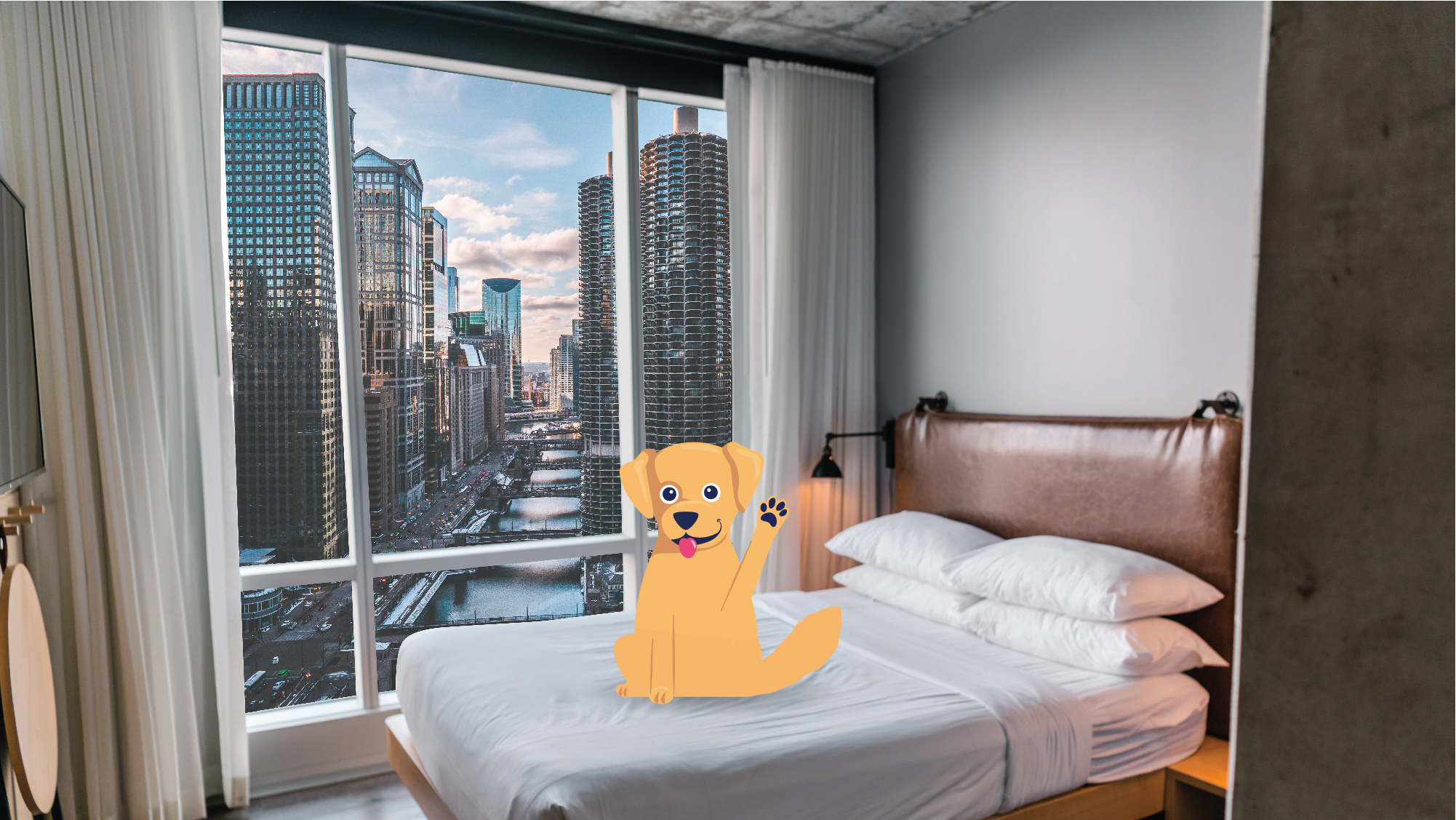 Top 5 Pet-Friendly Airbnbs in Chicago, IL