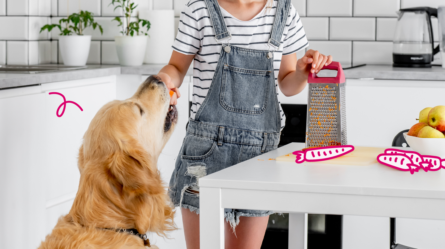 Dog and 2025 cat treat recipes